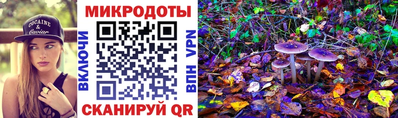 кракен ССЫЛКА  Кинель  Псилоцибиновые грибы Cubensis  хочу  
